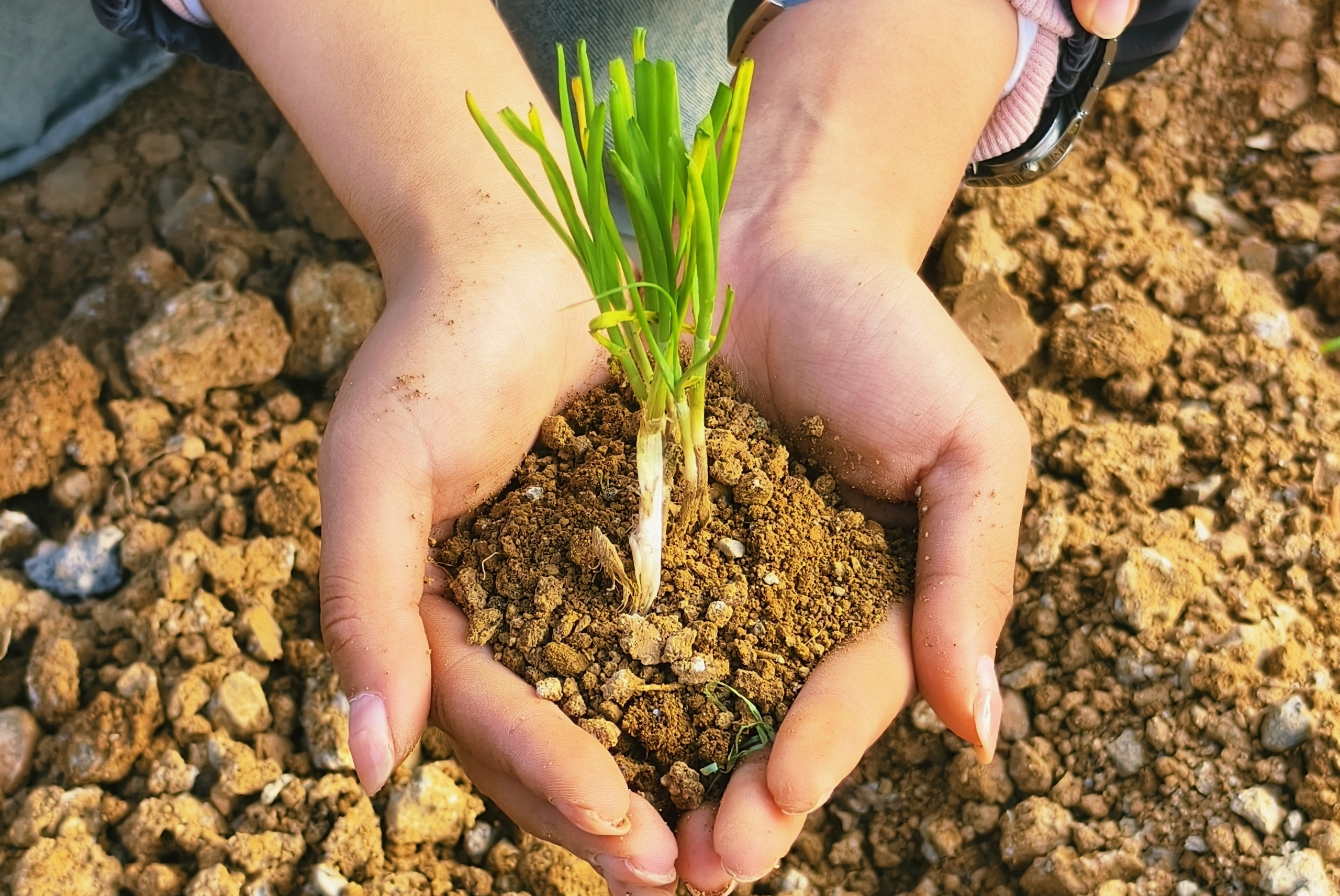 1731374636448656.jpg 1731374636448656.jpg